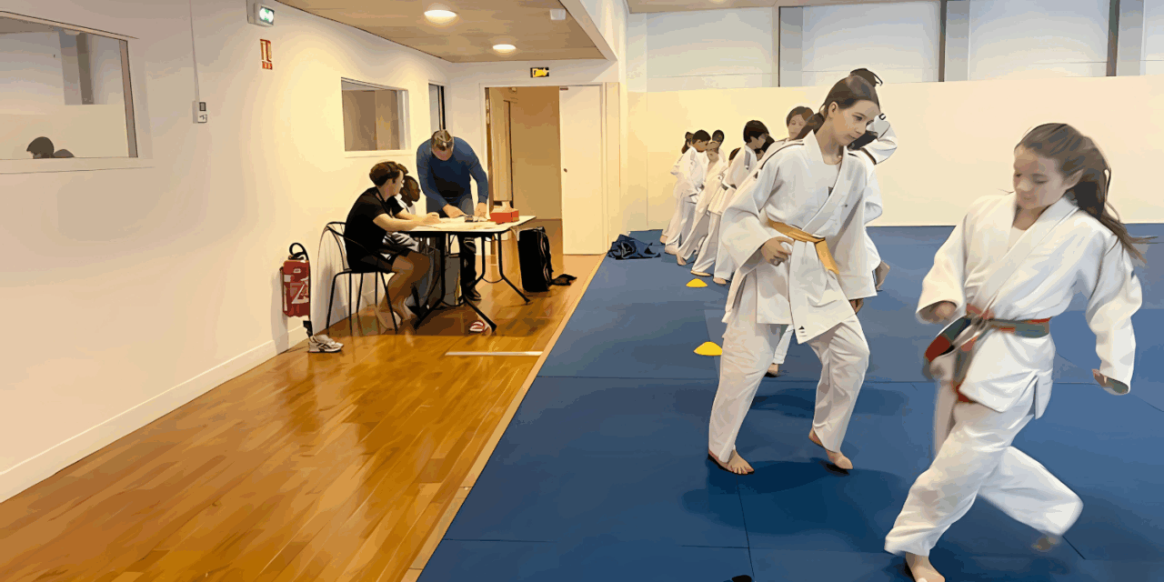 Le judo à l’école