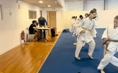 Le judo à l’école